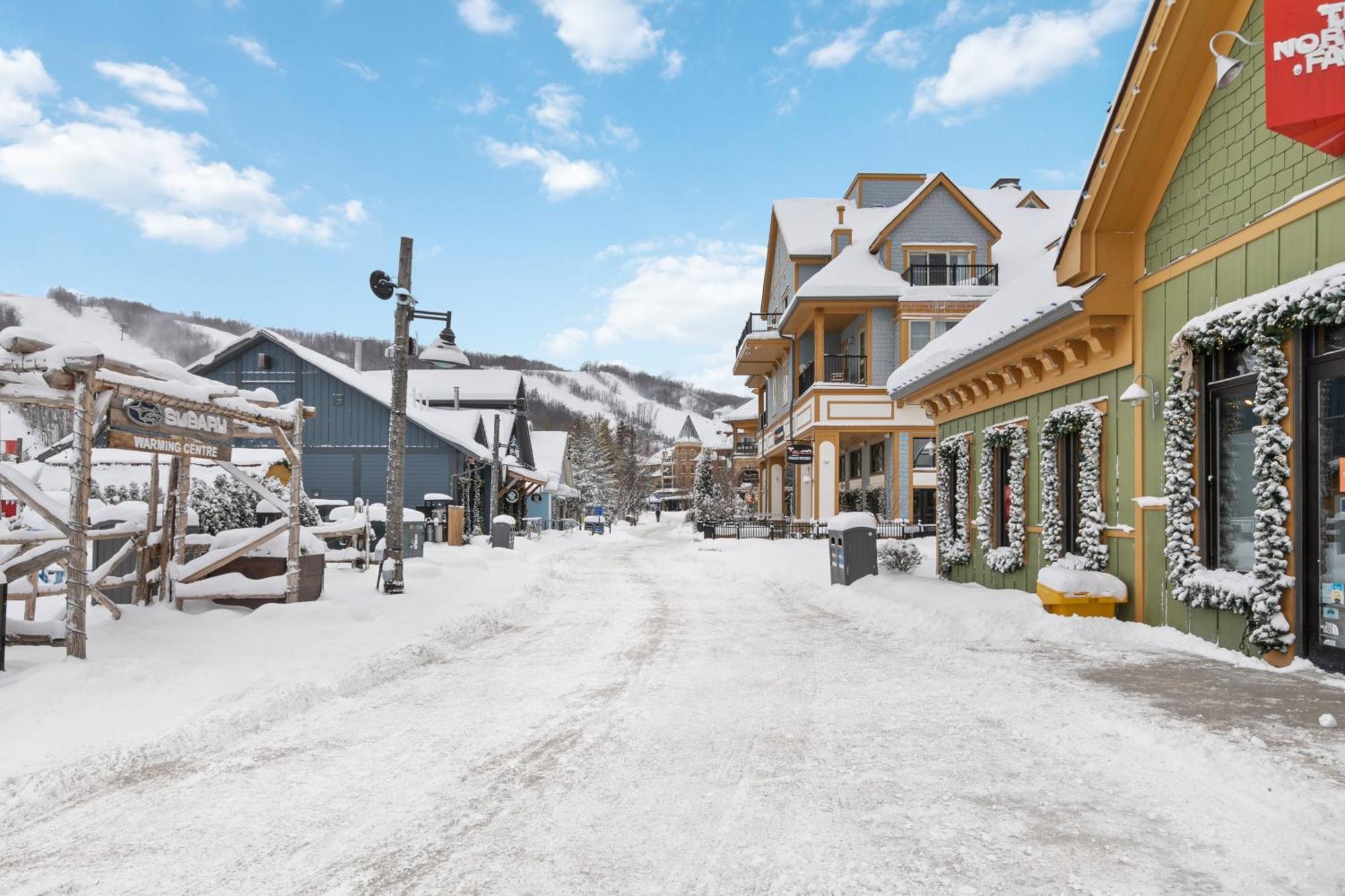 Lovely 3 Bedroom Wintergreen Retreat W Sauna Blue Mountains Exteriér fotografie