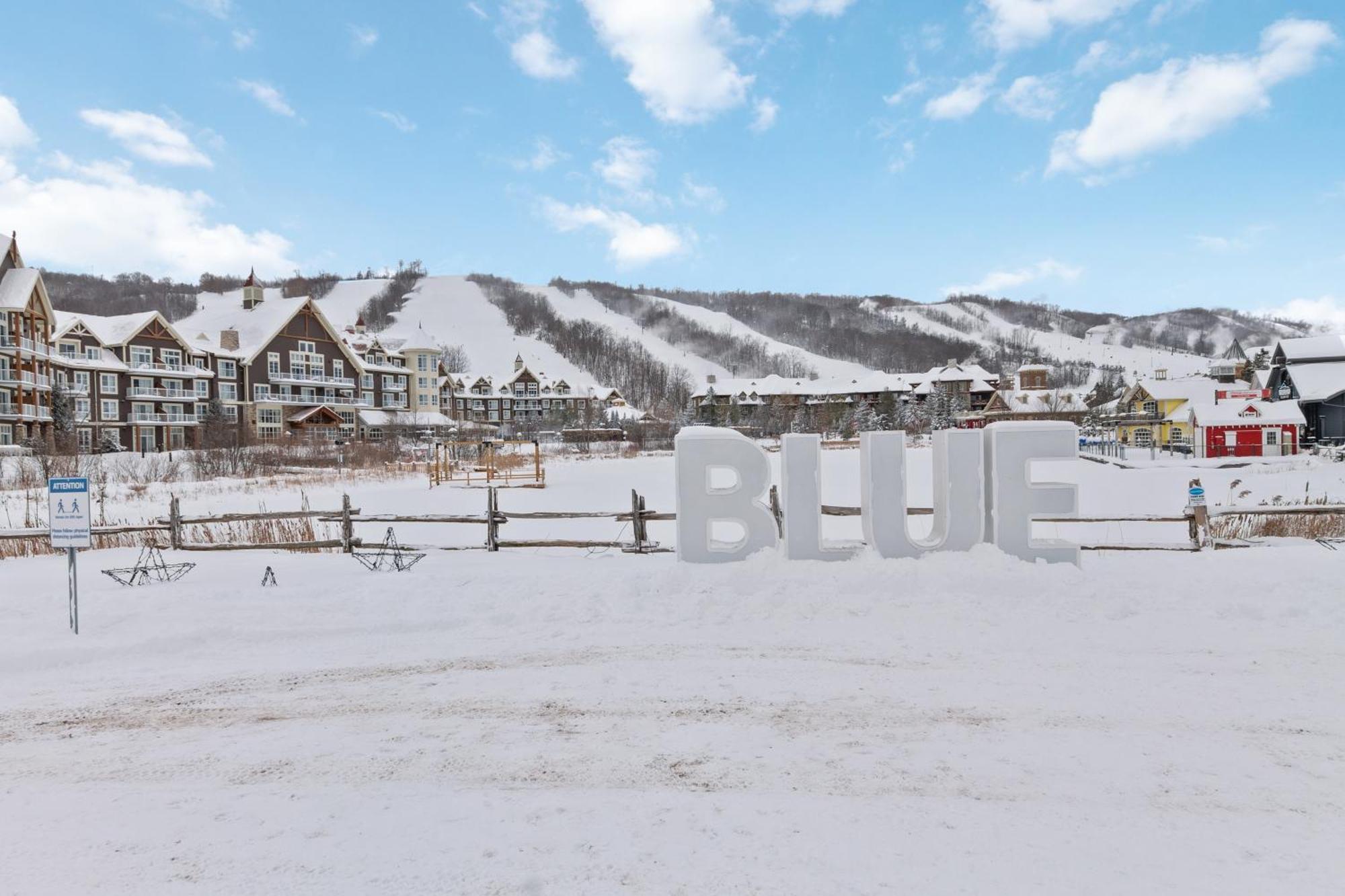 Lovely 3 Bedroom Wintergreen Retreat W Sauna Blue Mountains Exteriér fotografie